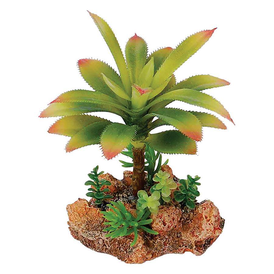 Aquaspectra Desert Plant wth Rock Base