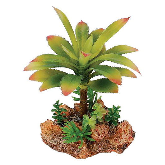 Aquaspectra Desert Plant wth Rock Base