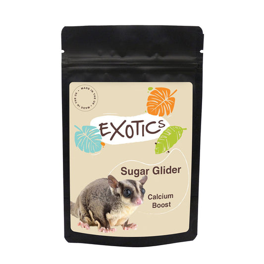 Natures Grub Sugar Glider Calcium 100g