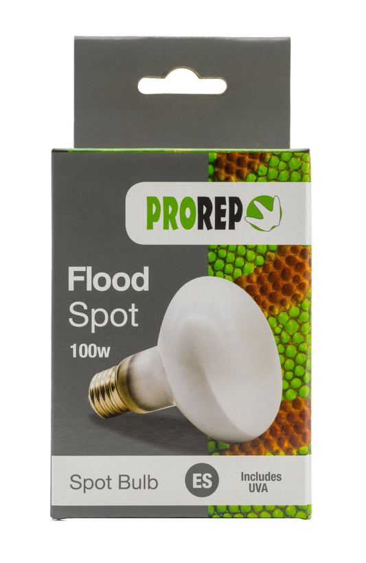 ProRep Flood Lamp