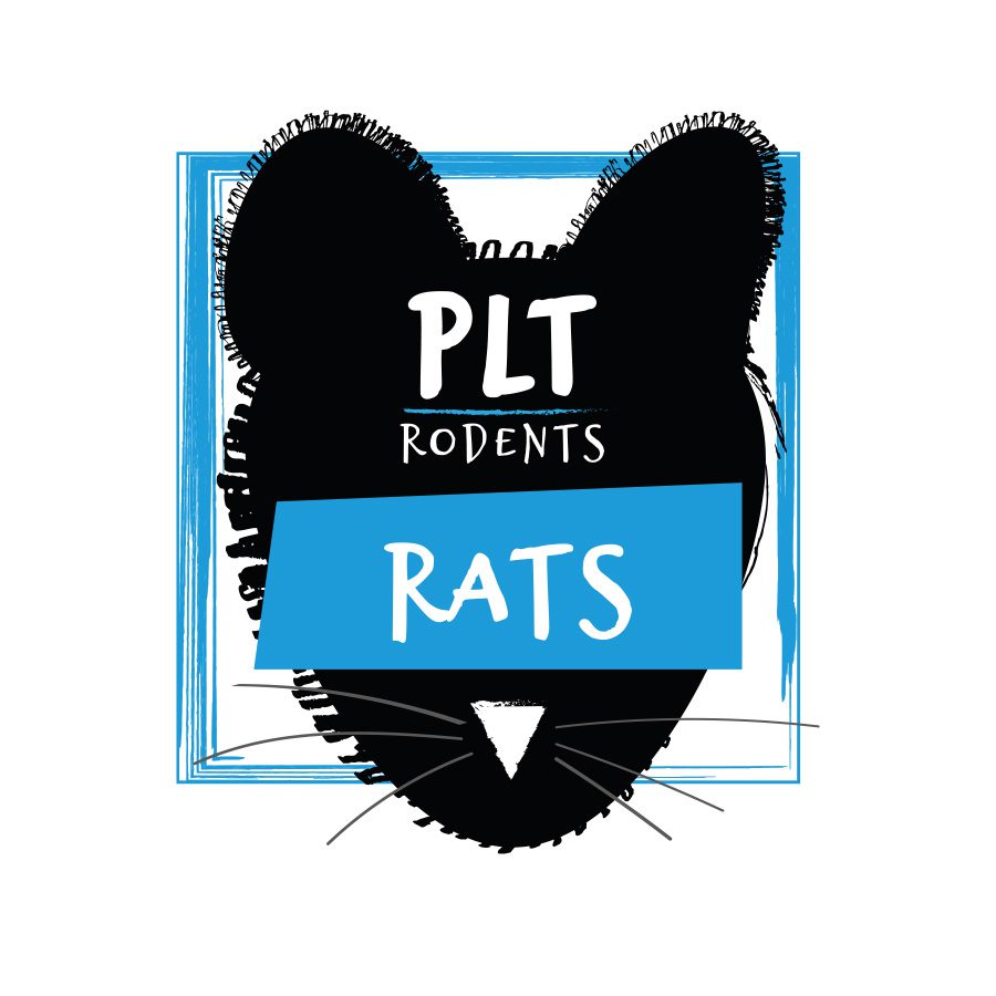 PLT Frozen Rats