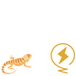 Bearded Dragon Electrics Pack (Bronze)