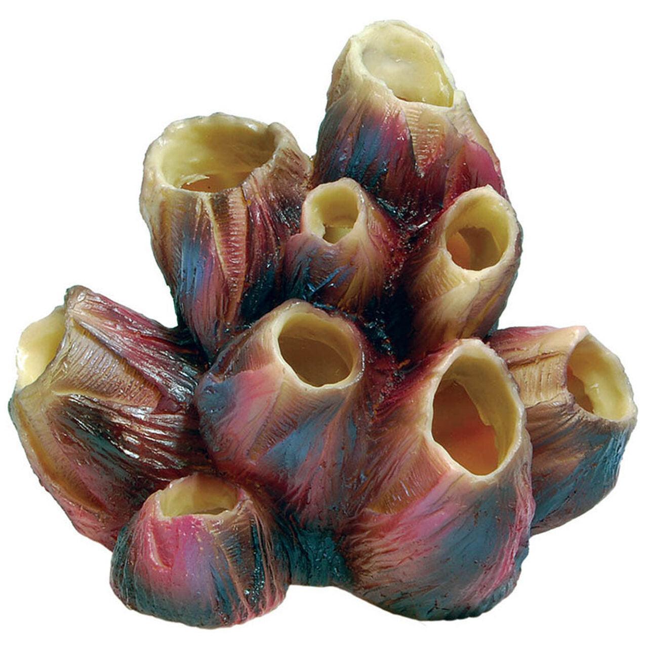 AquaSpectra Coral Barnacle